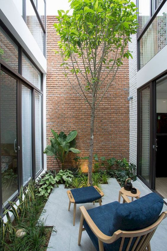 a contemporary inner courtyard with some greenery and a tree growing, a chair with a footrest and a table