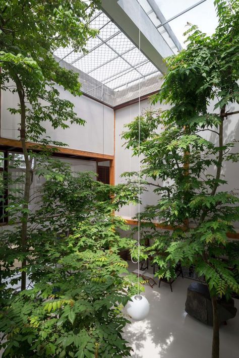 a large indoor courtyard with lots of trees and plants is a cool solution in case you have very high ceilings