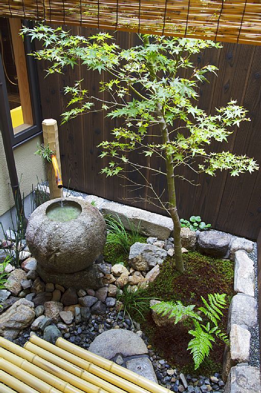 a lovely mini garden with pebbles, rocks, a stone bowl and a single small tree plus bamboo will refresh your backyard or courtyard