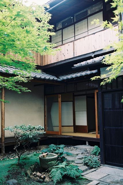a mini Japanese courtyard with pebbles, rocks, greenery, a tiny tree and a stone bowl with water is very cool