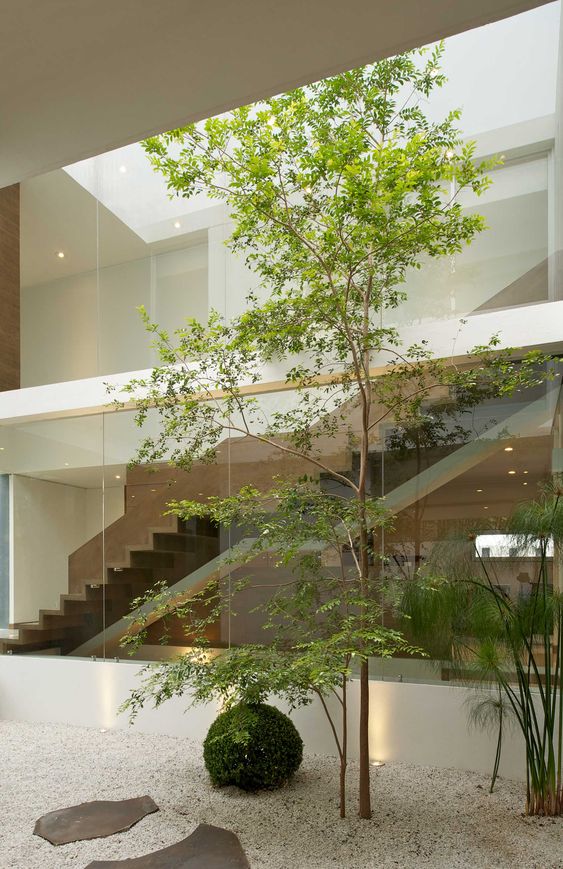 a minimalist indoor courtyard with gravel, rocks and some greenery, bamboo and trees here in the center