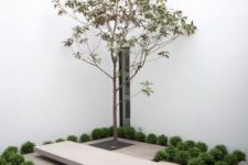 a minimalist indoor courtyard with greenery and concrete platforms plus a single tree that is accented