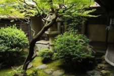 a small Japanese courtyard with moss, greenery, rocks and a single tree right in the center