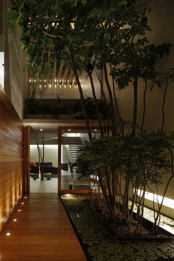 a small and stylish indoor courtyard with a water garden and trees growing righ in its center