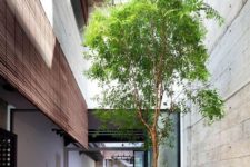 a small indoor courtyard with a single tree and brick and concrete refreshes the look of the interiors and brings a natural feel