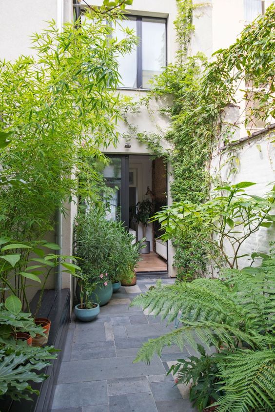 A small townhouse garden clad with stone tiles, potted greenery and living walls plus a built in bench