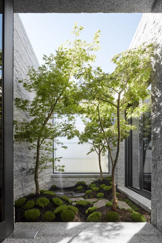 a small yet refreshing indoor courtyard with moss, rocks and several trees growing here