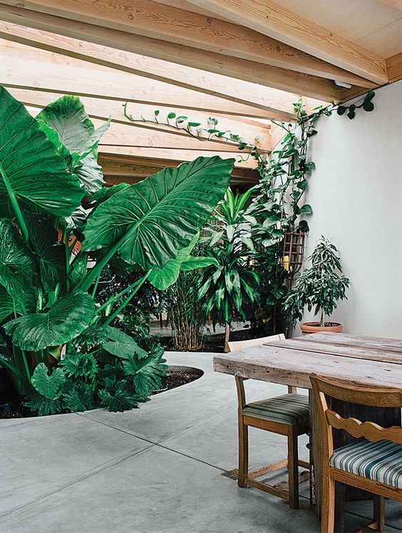 a tropical indoor courtyard with several flower beds cut out in the concrete and lots of light from skylights