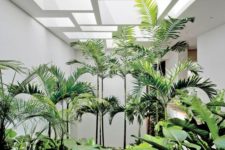 an indoor courtyard with lots of tropical greenery and geomtric skylights looks like a real garden