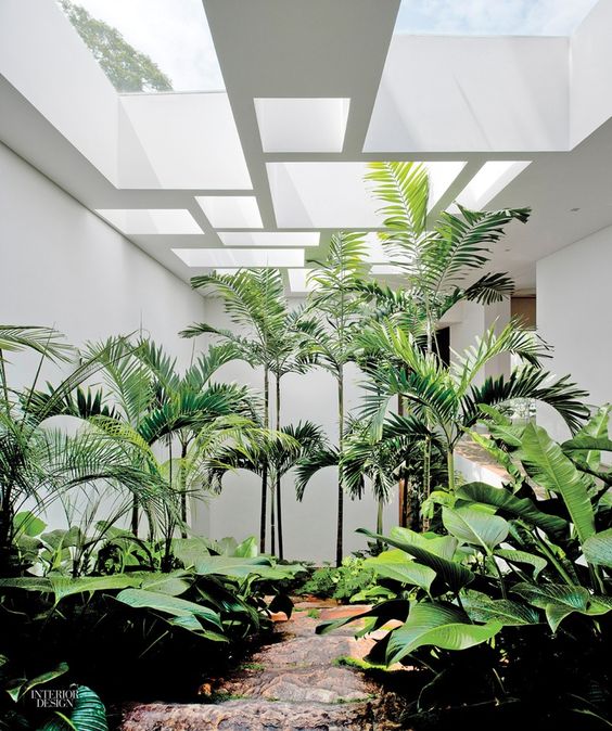 an indoor courtyard with lots of tropical greenery and geomtric skylights looks like a real garden