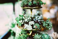 a gold tiered stand with lots of succulents here and there is a stylish vintage display with plenty of chic