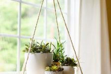 a suspended round shelf with succulents in pots and some greenery is a stylish idea for indoor succulent displaying