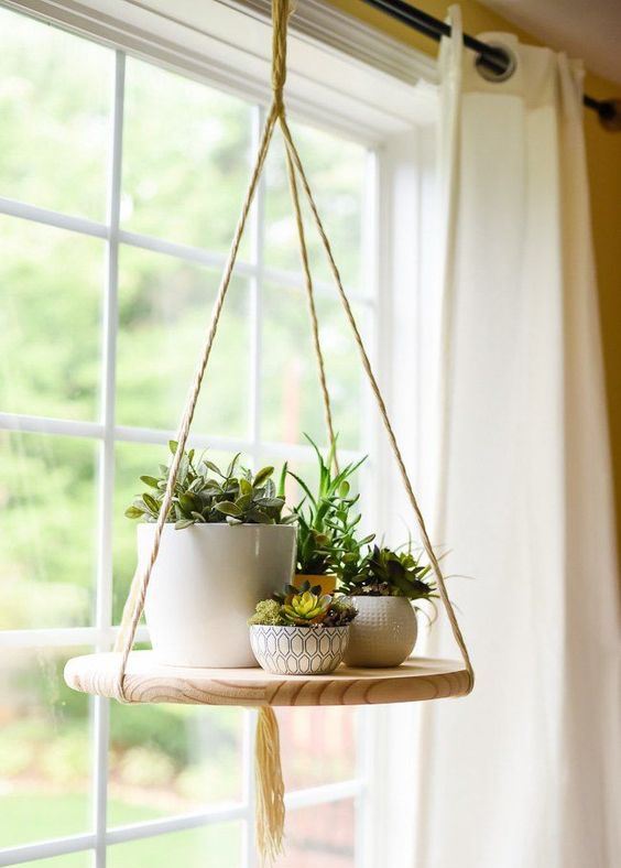 a suspended round shelf with succulents in pots and some greenery is a stylish idea for indoor succulent displaying