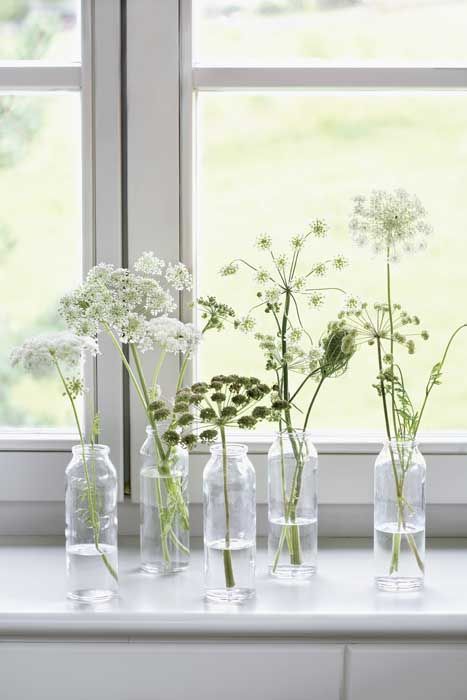 bottles with white blooms will beautifully line up the windowsill or some other space