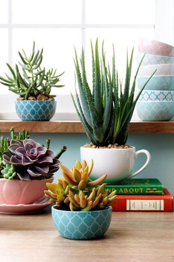 pretty printed bowls and teacups are great as pastel planters for succulents, use plants of various kinds