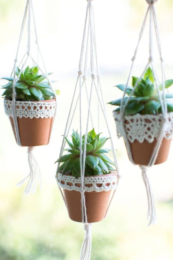 Suspended planters with succulents are a very cool boho inspired idea for displaying succulents