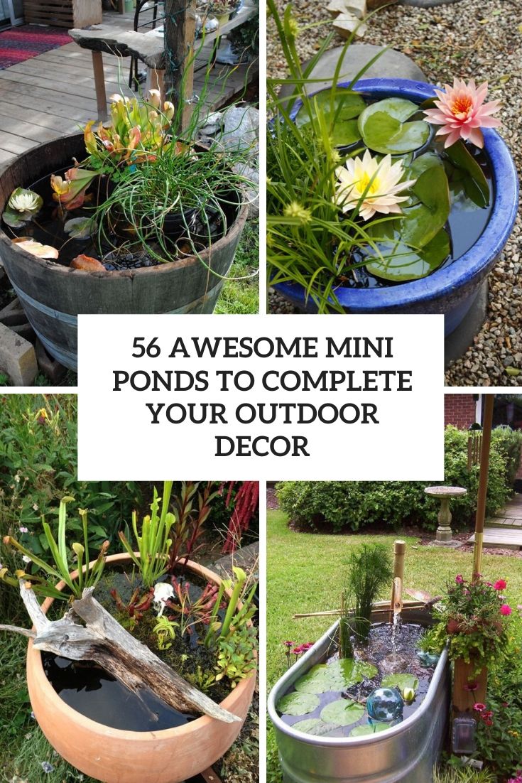 awesome mini ponds to complete your outdoor decor