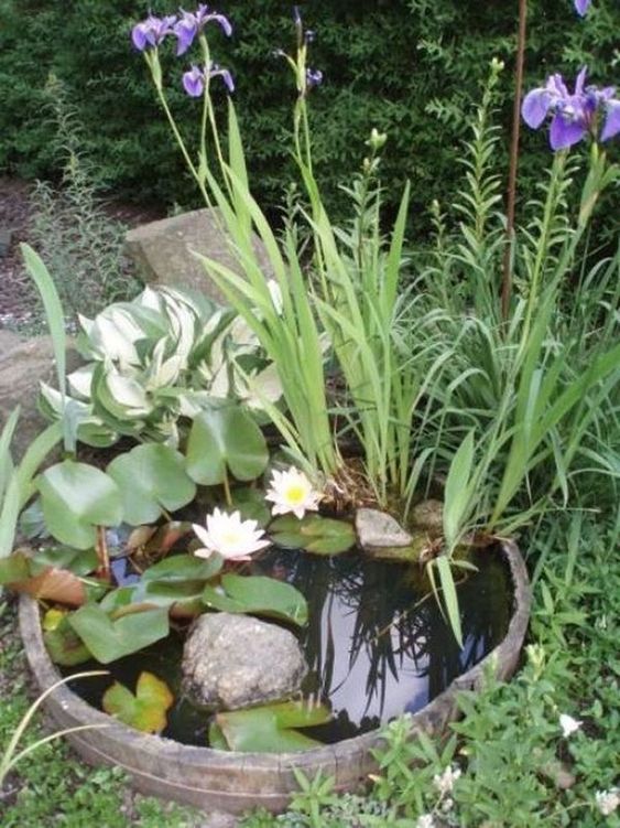 a barrel water garden dug into the ground, with rocks, water lilies and grasses is a lovely idea for a garden
