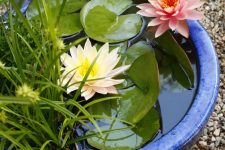 a bright mini water pond in bold blue, with water lilies and grasses will make an accent in your garden
