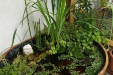 a mini pond in a wooden barrrel, with floating greenery, bright patterned balls, pebbles and colorful billy balls
