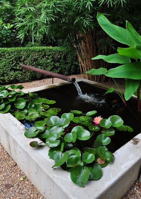 a square mini pond clad in concrete, with water lilies and a tube waterfall is a lovely modern idea for outdoors
