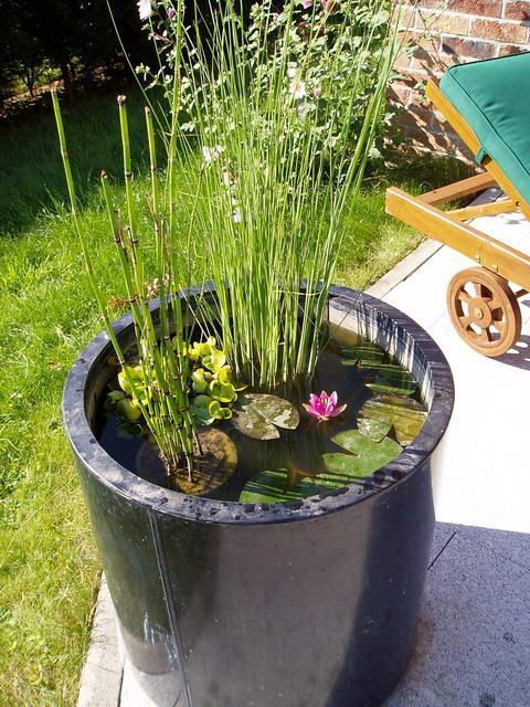 a tall ceramic vessel in black used as a containter pond with water lilies and other plants is great for a modern space