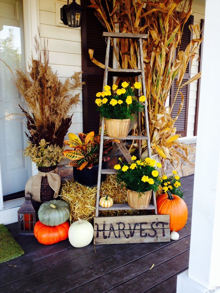 A wooden ladder is a perfect base for your Thanksgiving porch arrangement.