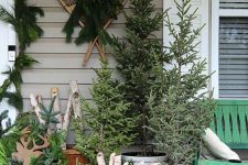 a cluster of non-decorated Christmas trees in buckets, a basket with firewood, buckets with fir branches and vintage skis