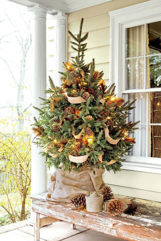a wooden bench with a lovely Christmas tree with lights, burlap ribbons and pinecones plus pinecones around will make the space rustic