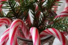 a simple Christmas decoration of a jar, fir branches and candy canes is a bold and lovely centerpiece to rock