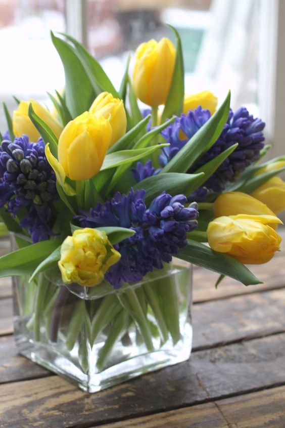 a clear vase with purple hyacinths and yellow tulips is a bright and fun spring flower arrangement or centerpiece