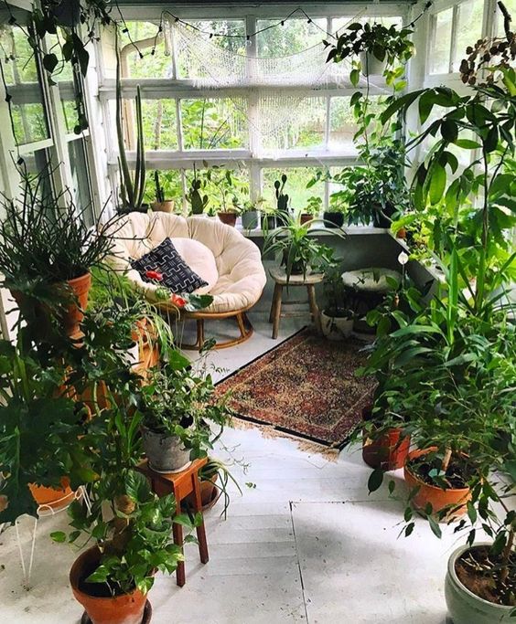 a small yet cozy boho sunroom turned into an orangery, with lots of potted plants and greenery, a round chair and some stools