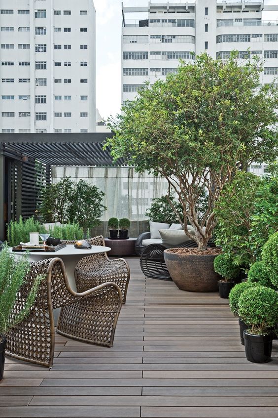 a monochromatic contemporary terrace with a deck, rattan chairs, greenery and a tree in a pot and neutral upholstery