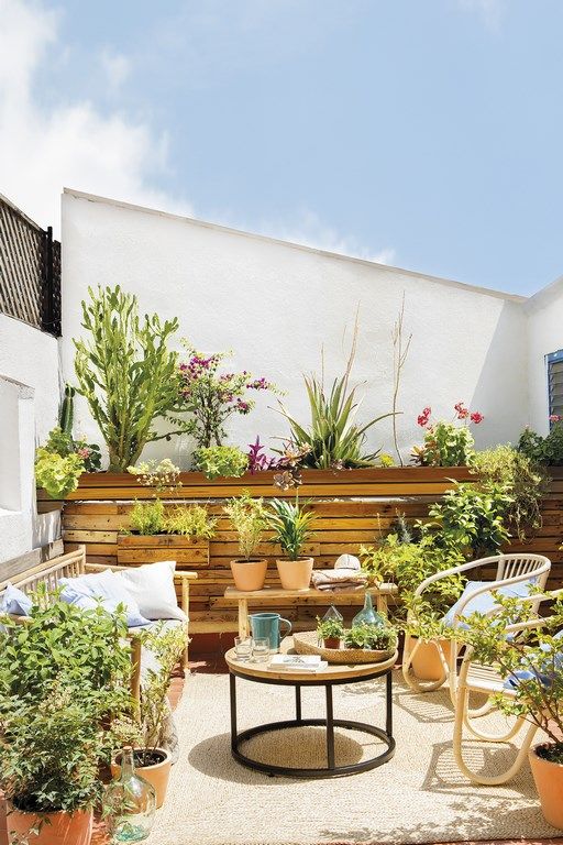 a summer space with a wooden wall, rattan furniture and lots of potted greenery and blooms for a garden feel
