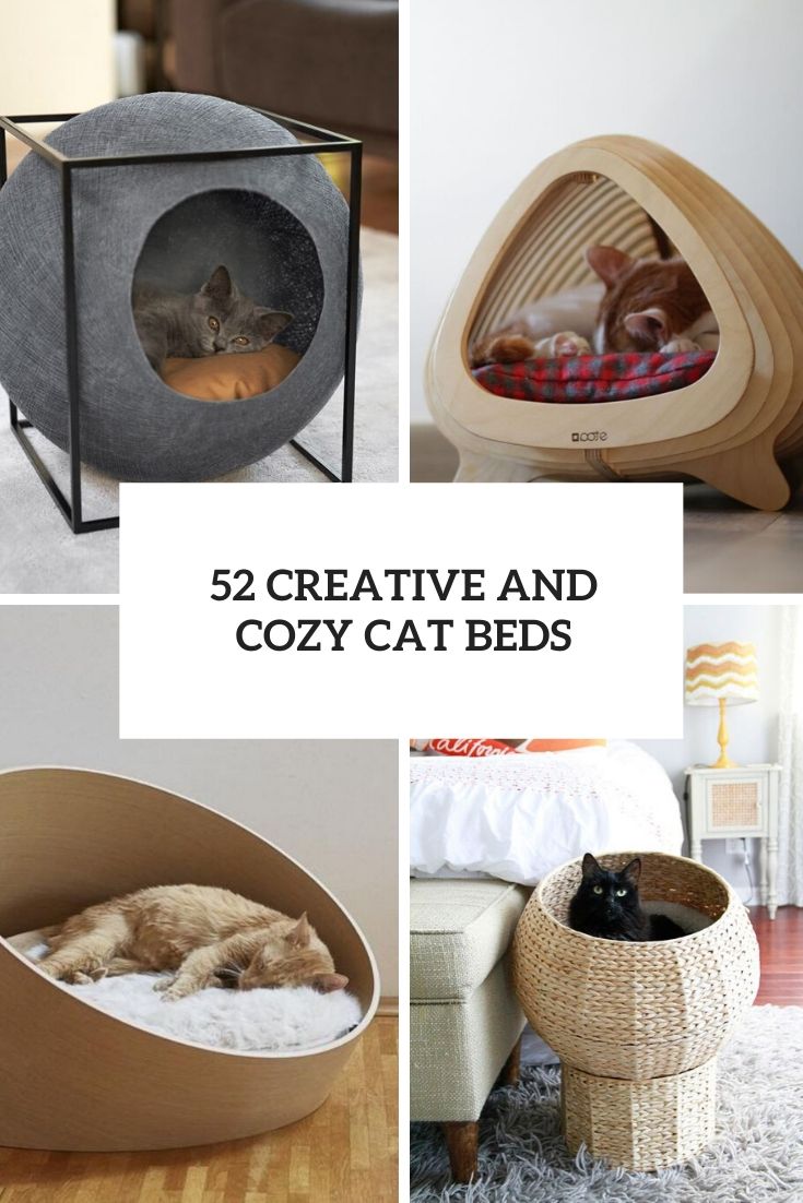 creative and cozy cat beds