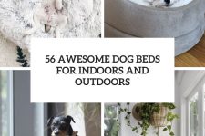 56 awesome dog beds for indoors and outdoors cover