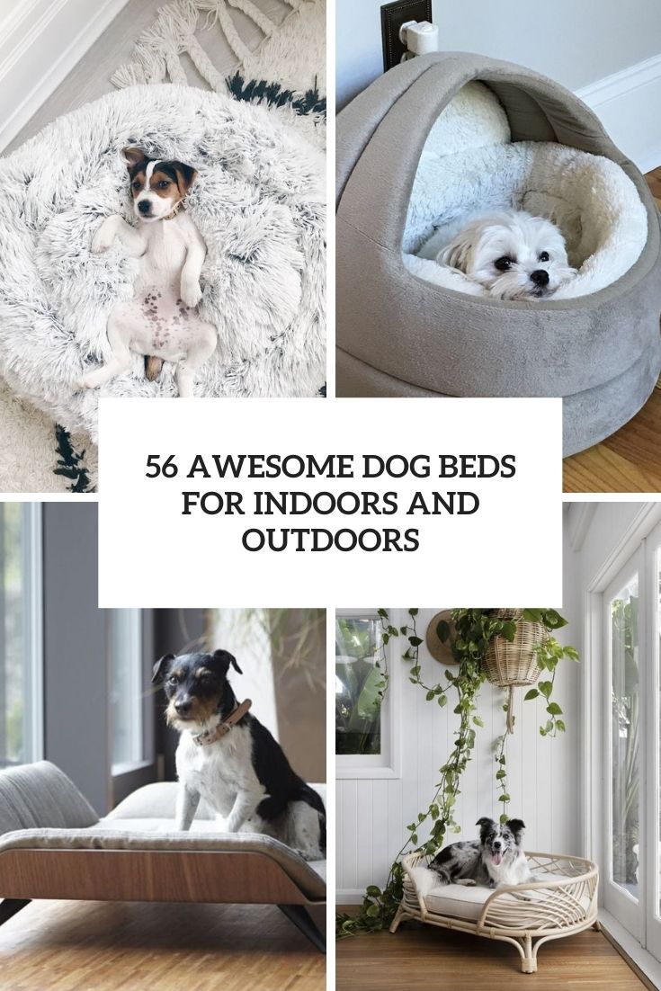 56 Awesome Dog Beds For Indoors And Outdoors