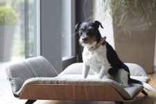 a chic plywood couch with a grey mattress will be a great solution for a mid-century modern room and your dog will sleep with comfort