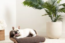 a cool mid-century modern dog couch of plywood, with a large cushion and pillow is a very stylish idea
