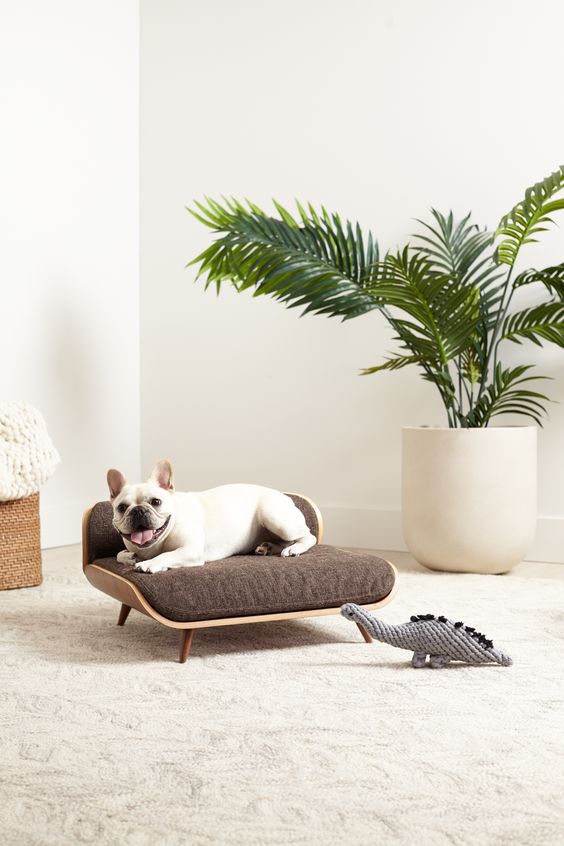 A cool mid century modern dog couch of plywood, with a large cushion and pillow is a very stylish idea