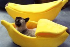 a fun and colorful banana cat bed with a lid is a creative idea with a touch of humor