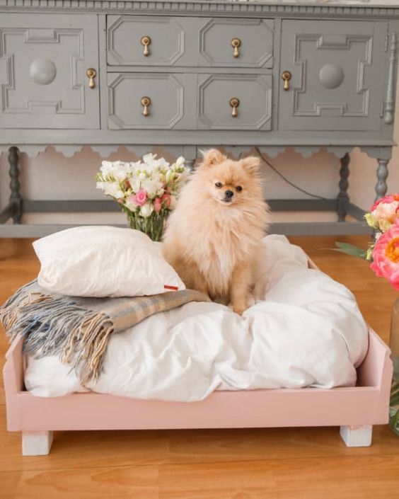 a pretty pink dog bed with an oversized cushion and pillows plus a blanket is a lovely glam idea for your littel doggo