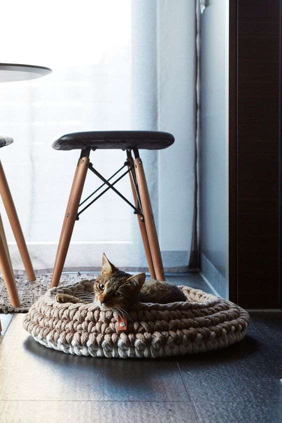 a stylish chunky knit round cat bed is a cool idea for a modern or contemporary space
