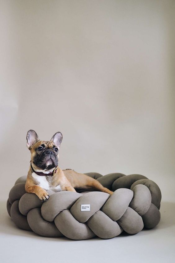 a stylish chunky woven dog bed is a pretty idea for a modern or minimalist interior and looks very cool and fresh