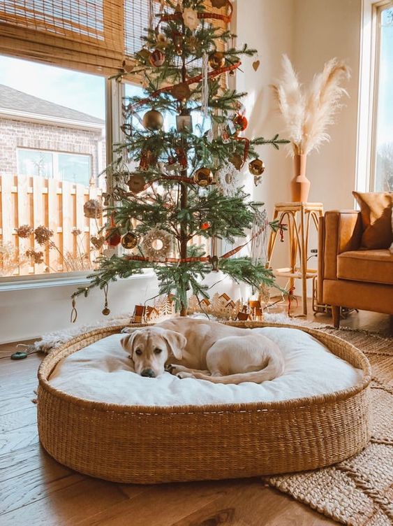 a stylish woven basket dog bed with a large cushion is a lovely idea for a modern or farmhouse inerior