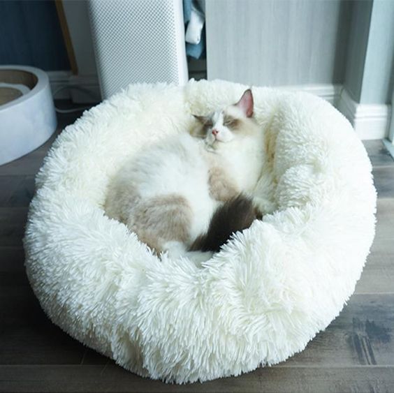 a white faux fur round bed is super welcoming and inviting and looks very soft