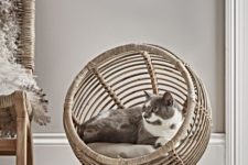 a wicker and rattan pod cat bed is a very stylish solution with a modern farmhouse feel