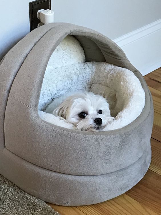 An all soft dog bed with a neutral soft inner is ideal for a small dog and can be a very cool solution