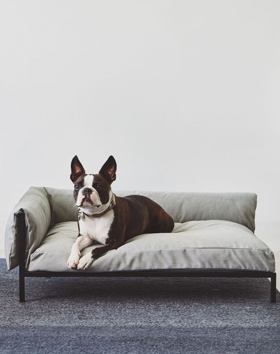 An ultra modern dog bed styled as a modern human daybed and it will match your interior in the best way possible