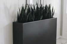 a modern tall, long and narrow black planter will accent any indoor or outdoor space at its best